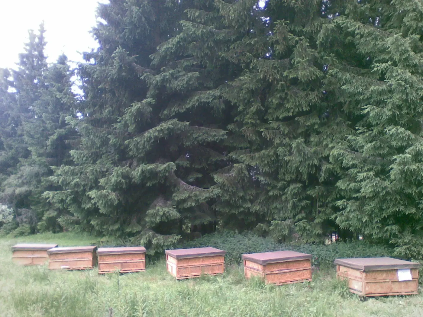 Krajina Národního parku Šumava